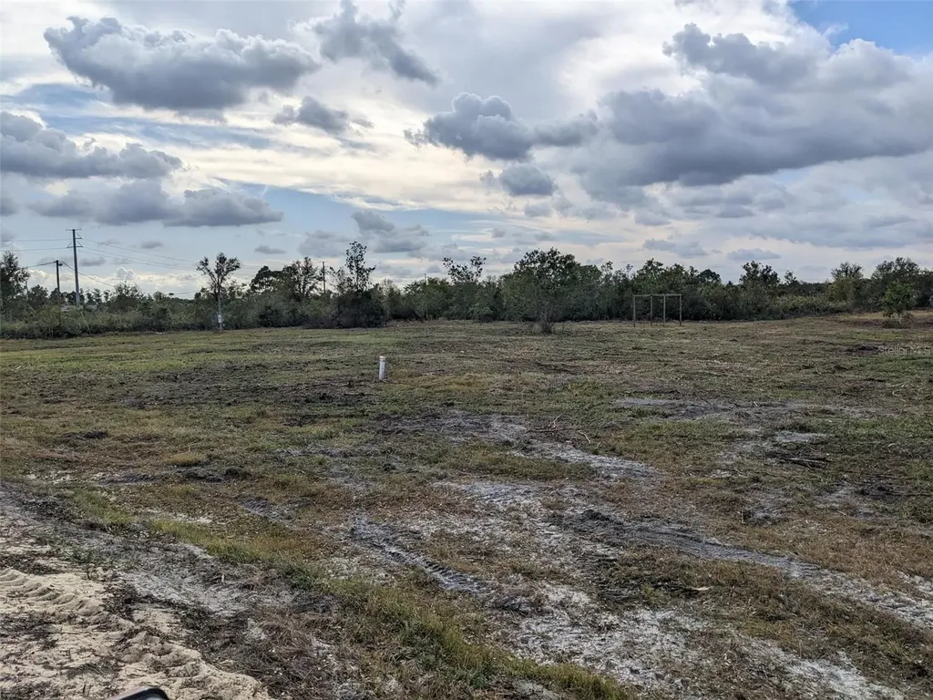 4830 Holopaw Street Lake Wales FL 33859