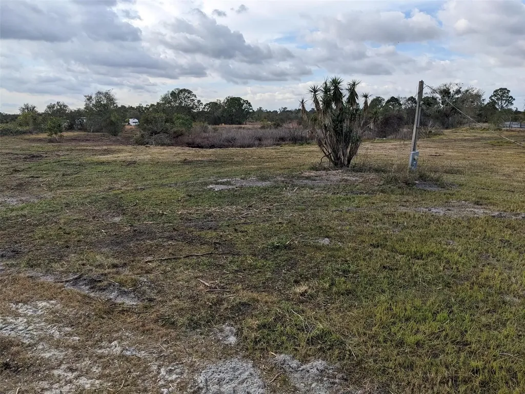 4830 Holopaw Street Lake Wales FL 33859