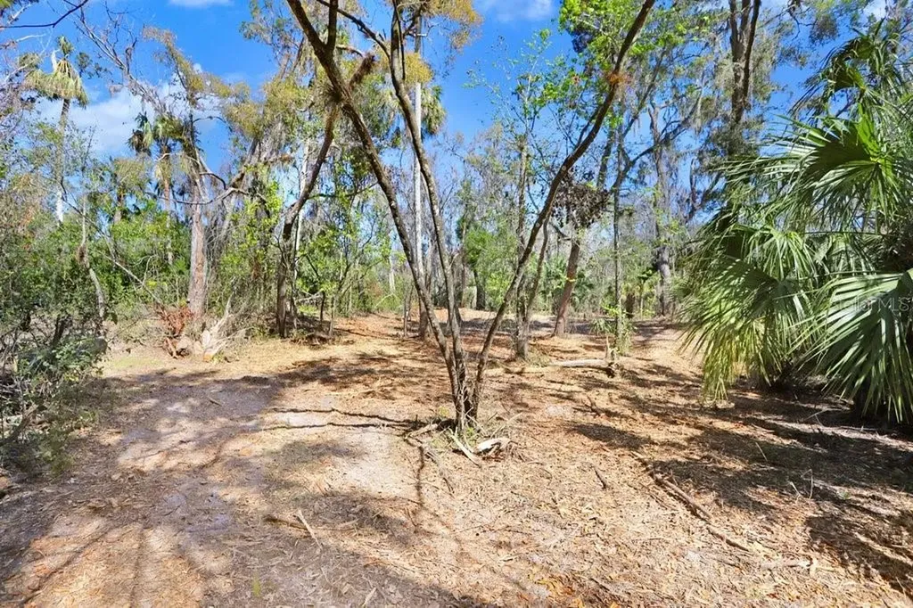4868 Rambling River Road Brandon FL 33511