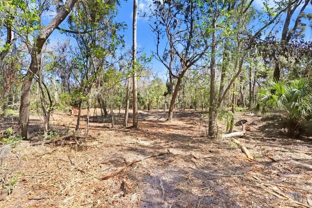 4868 Rambling River Road Brandon FL 33511