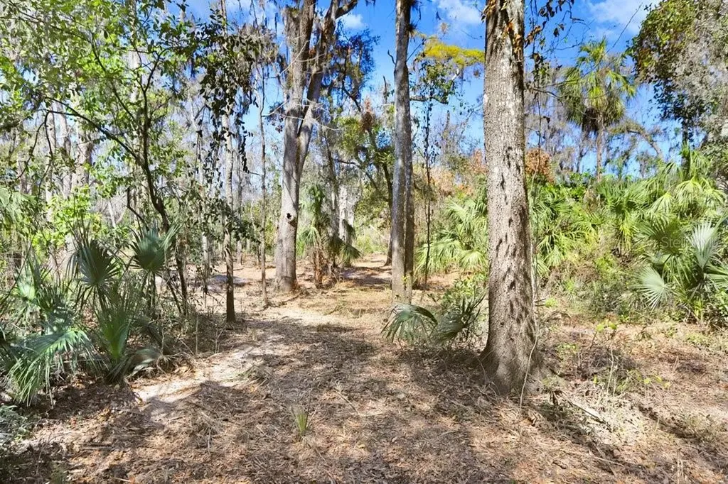 4868 Rambling River Road Brandon FL 33511