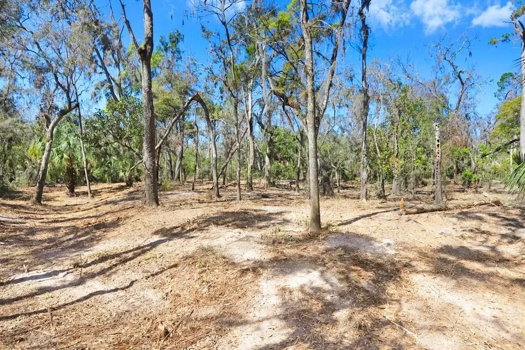 4868 Rambling River Road Brandon FL 33511