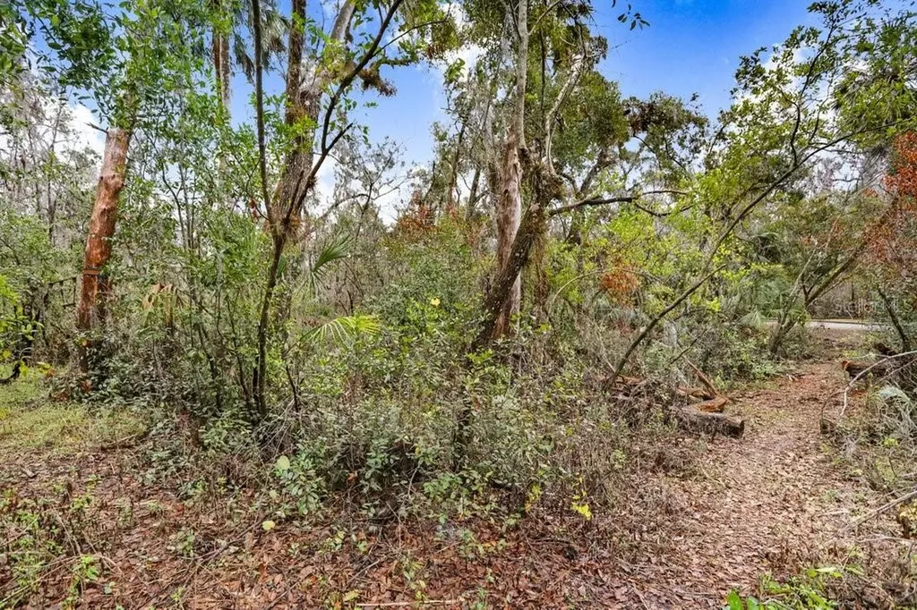 4868 Rambling River Road Brandon FL 33511
