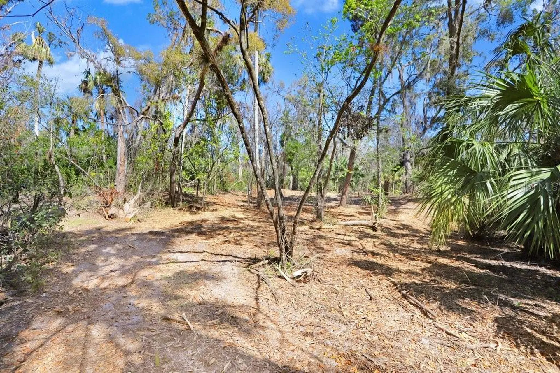4868 Rambling River Road Brandon FL 33511