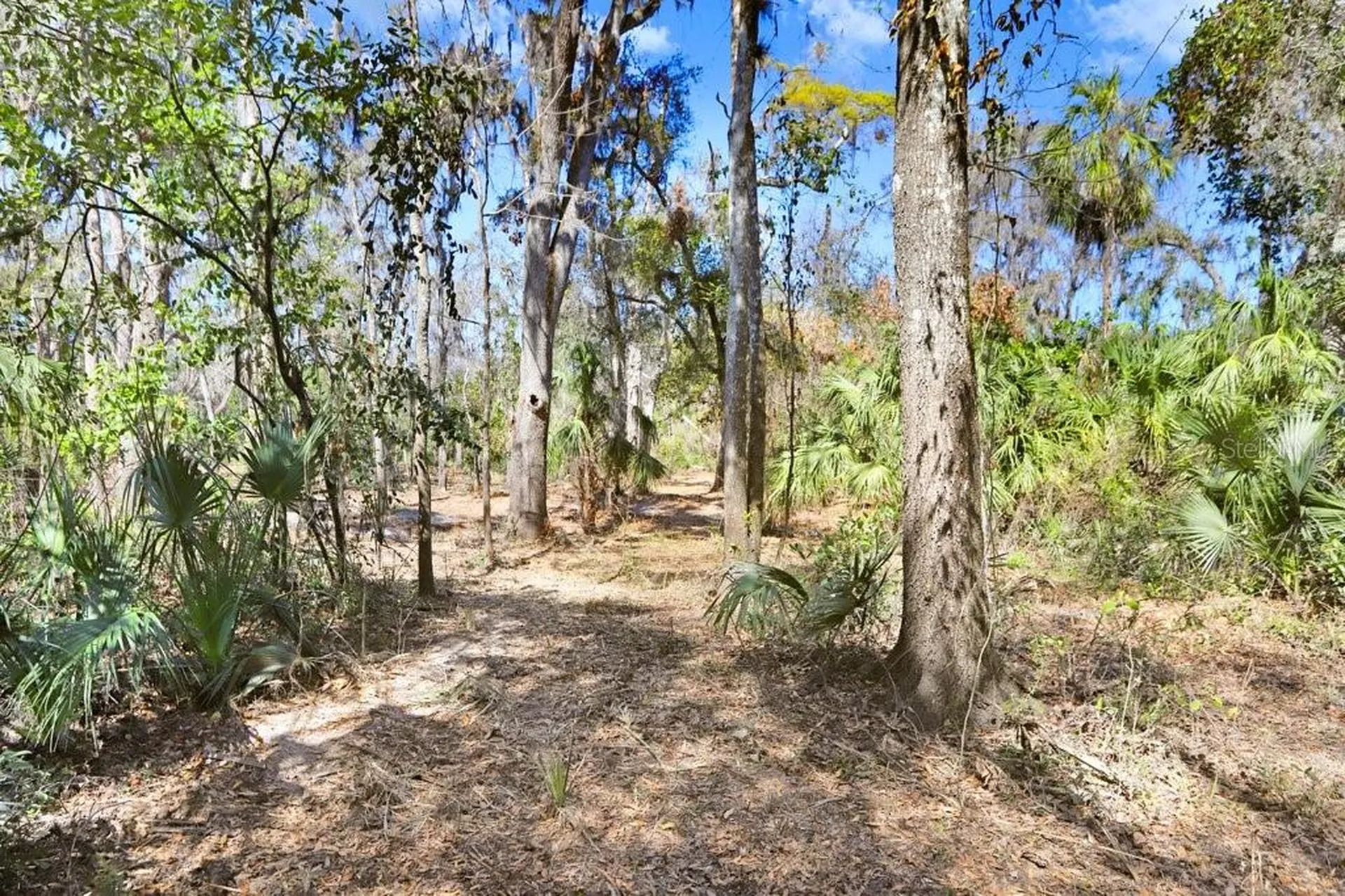 4868 Rambling River Road Brandon FL 33511