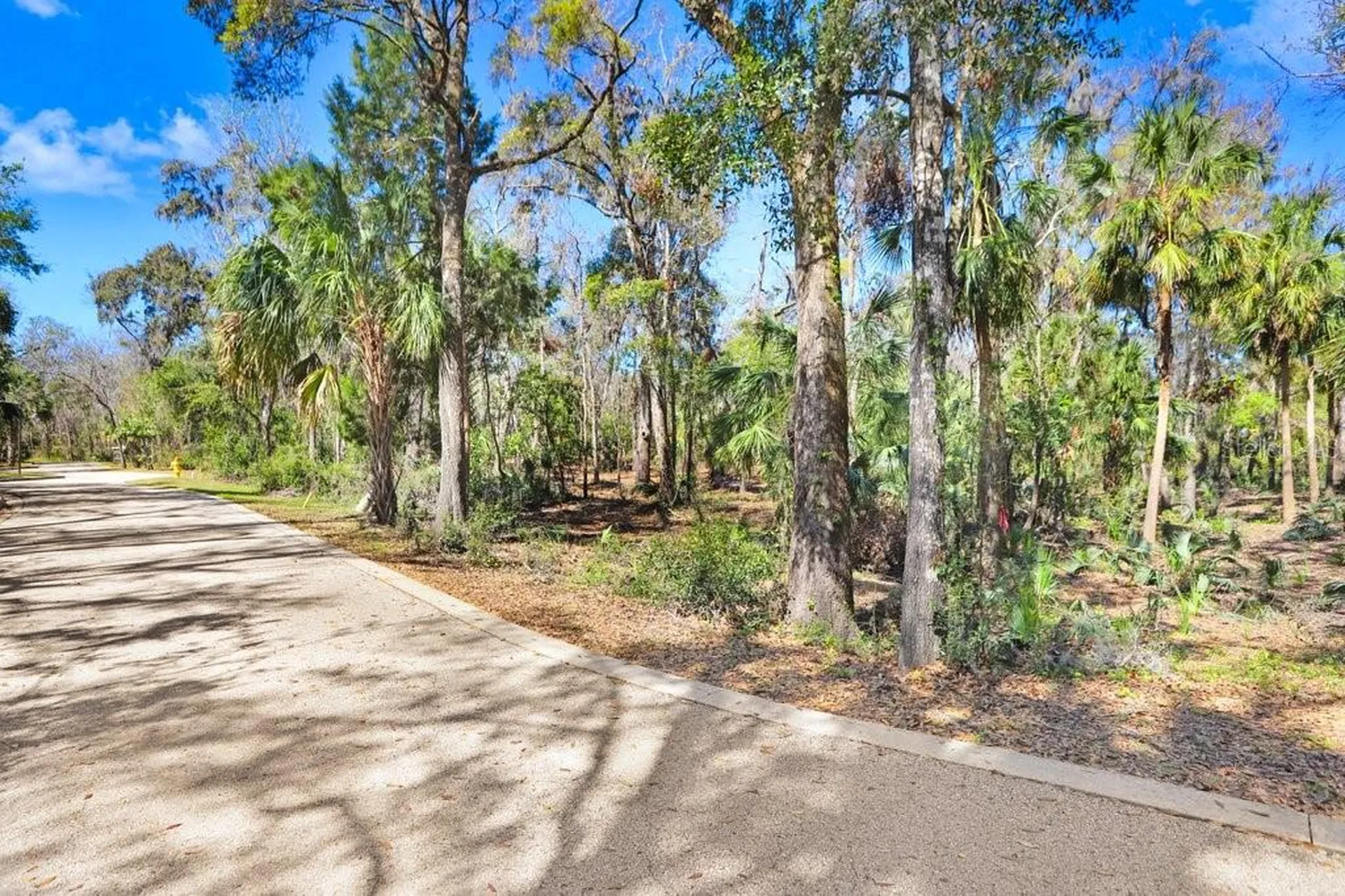 4868 Rambling River Road Brandon FL 33511