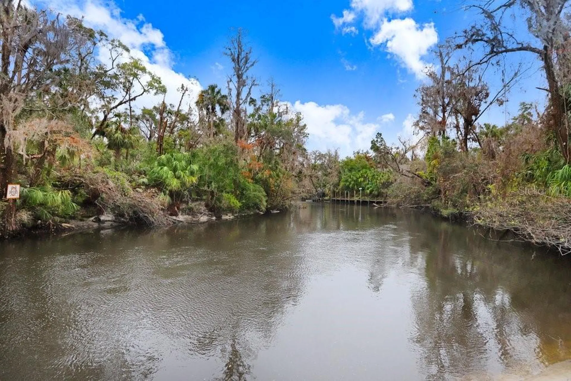 4868 Rambling River Road Brandon FL 33511