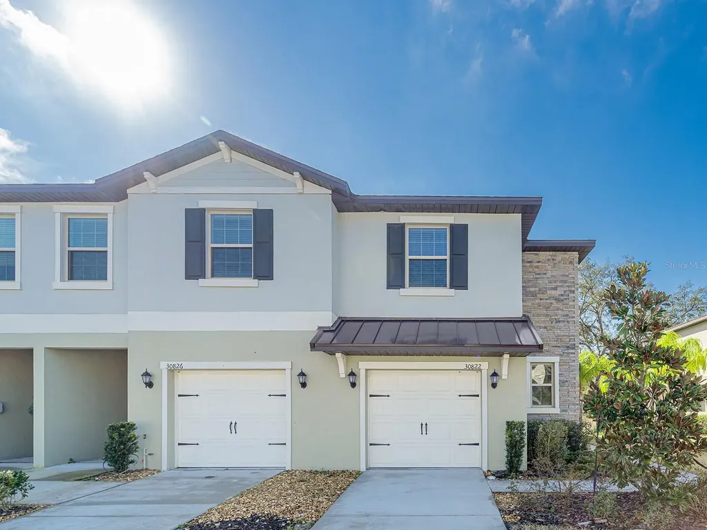 30822 Veridian Way Wesley Chapel FL 33543