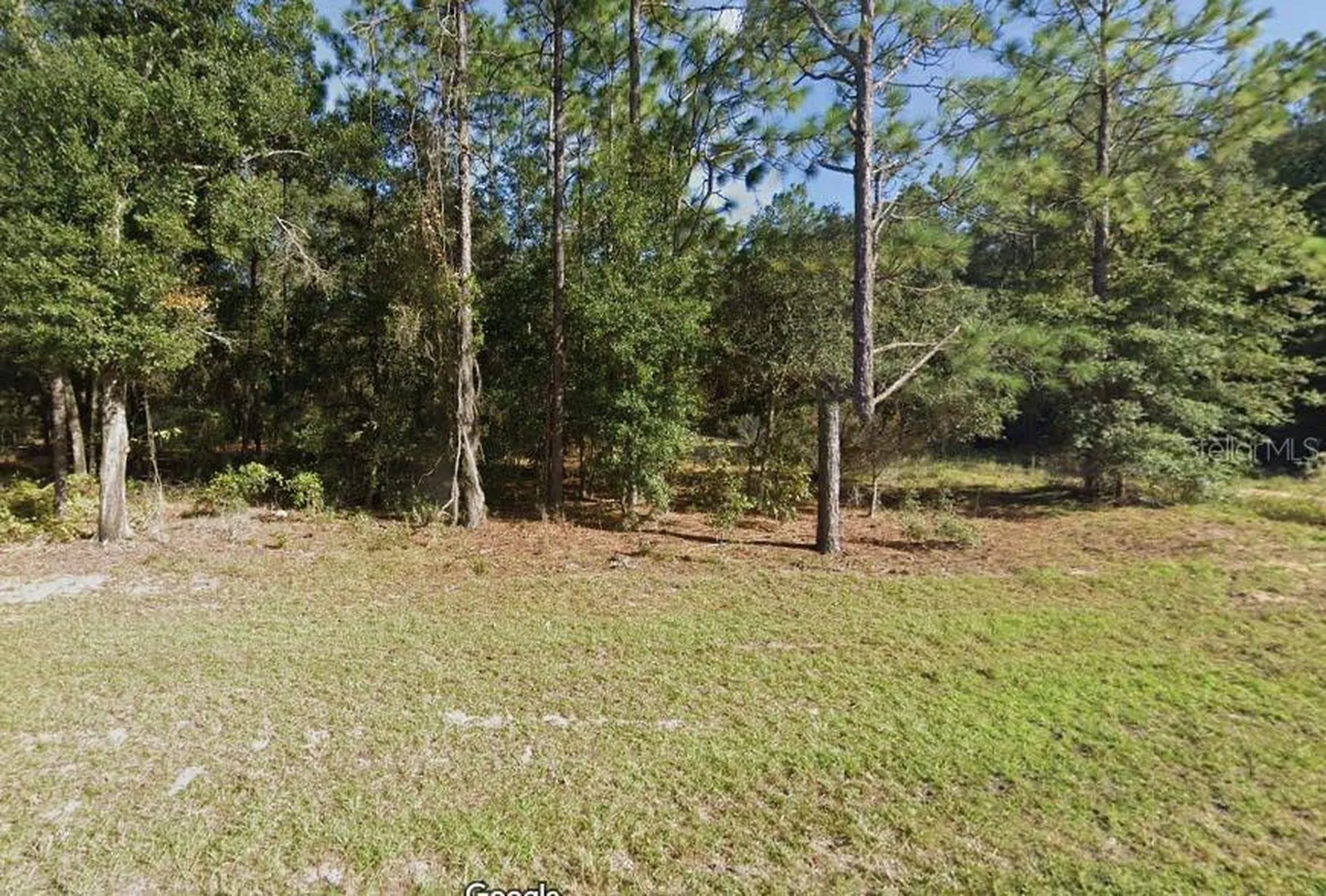 Missouri Avenue Hawthorne FL 32640
