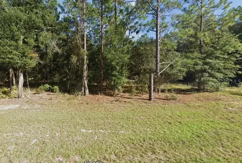 Missouri Avenue Hawthorne FL 32640