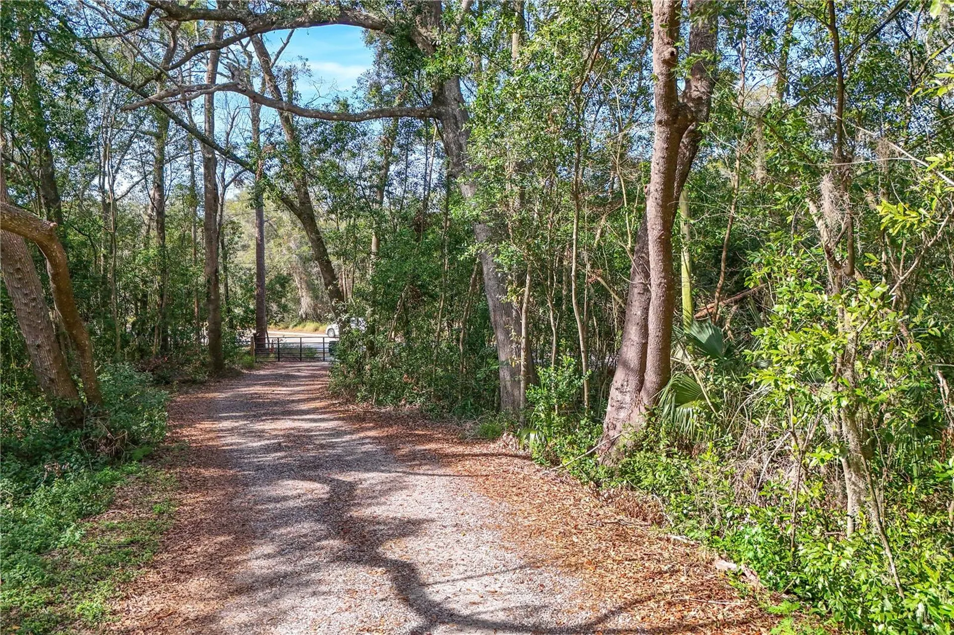 344 W Ponkan Road Apopka FL 32712