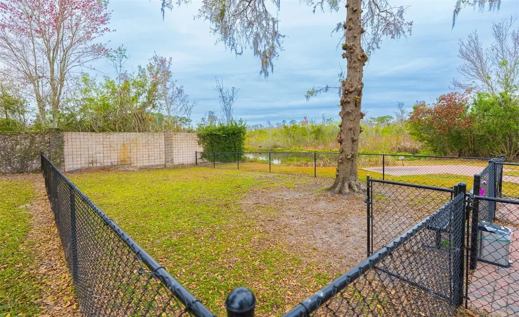 6861 Amanda Vista Circle Land O Lakes FL 34637