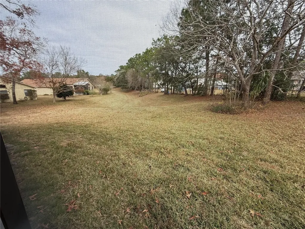 11425 Billingham Boulevard Spring Hill FL 34609