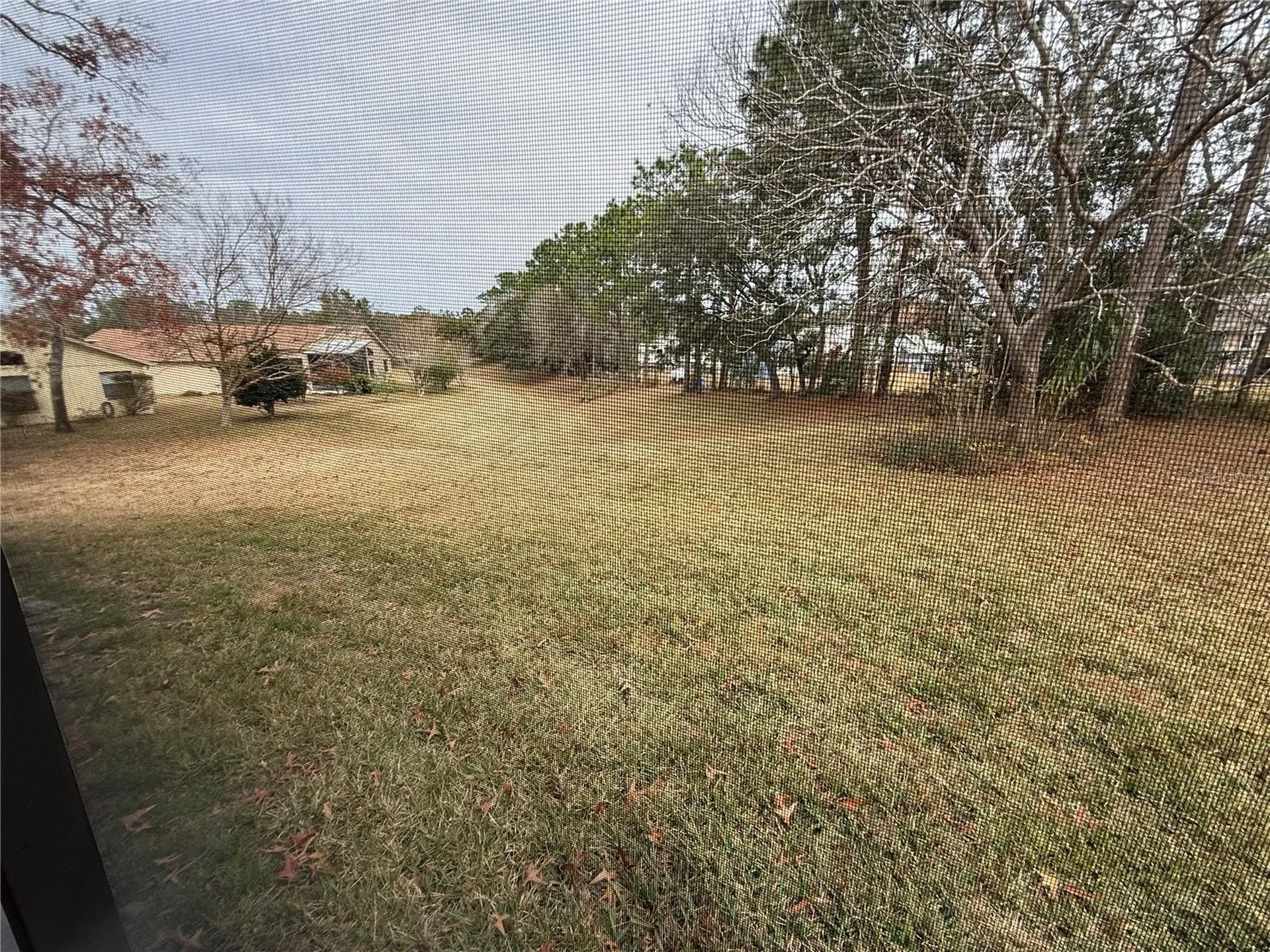 11425 Billingham Boulevard Spring Hill FL 34609
