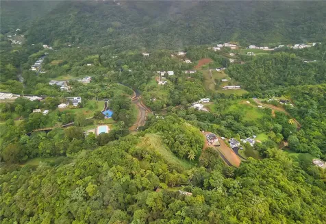 Bo. Mulas Carr. 174 Km. Hm 19.6 Int. Aguas Buenas PR 00703