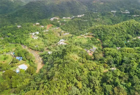 Bo. Mulas Carr. 174 Km. Hm 19.6 Int. Aguas Buenas PR 00703