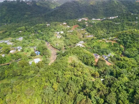 Bo. Mulas Carr. 174 Km. Hm 19.6 Int. Aguas Buenas PR 00703