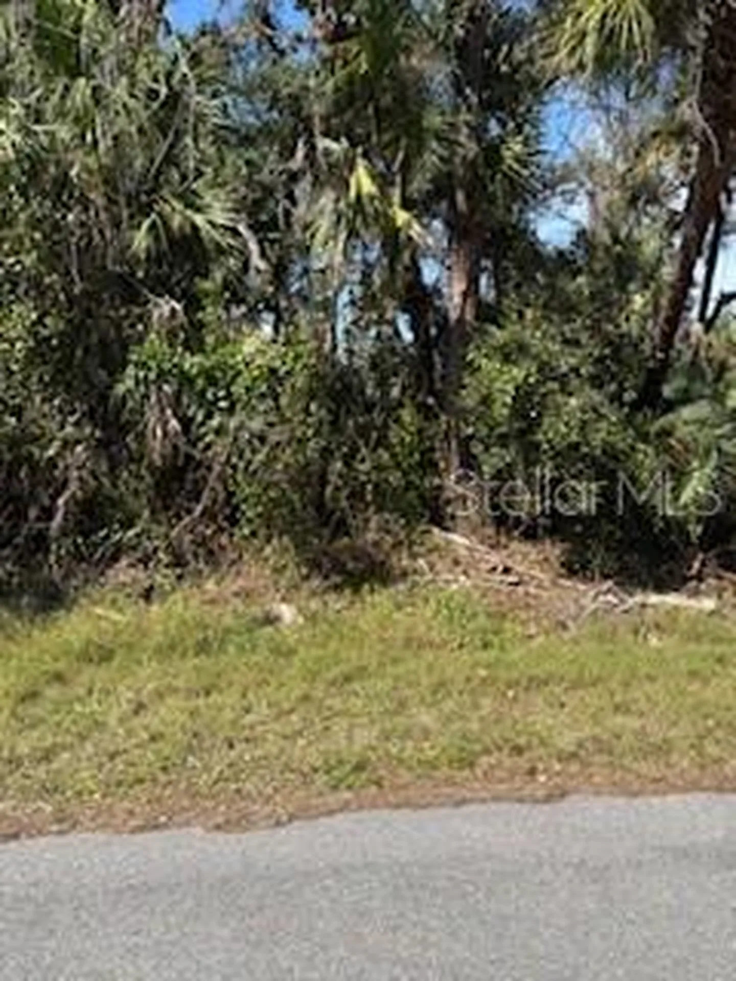 261 Dorman Street Port Charlotte FL 33953
