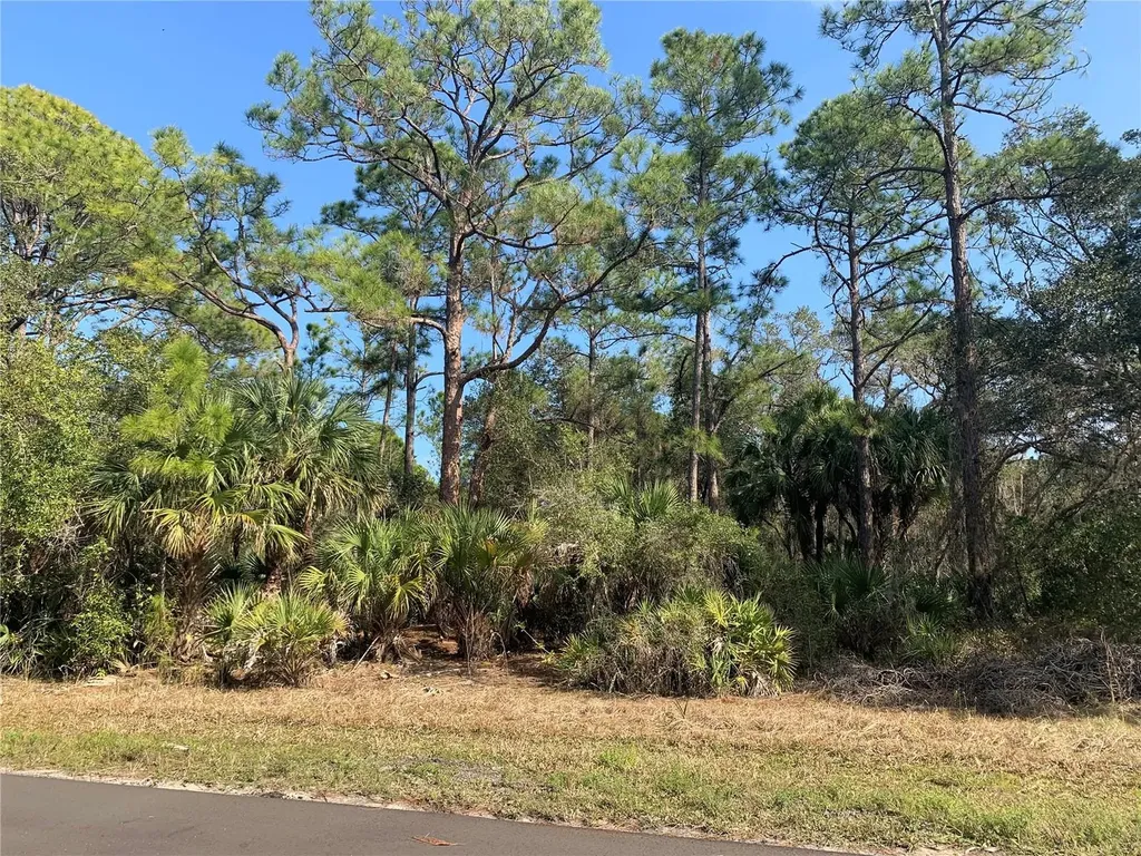 1194 Mallet Lane Port Charlotte FL 33953