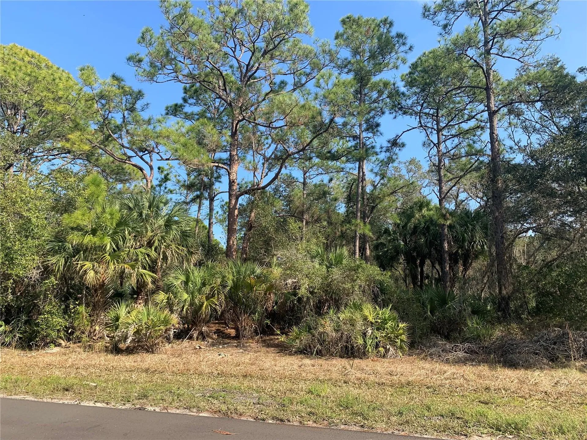 1194 Mallet Lane Port Charlotte FL 33953