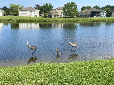 9918 50th Street Circle E Parrish FL 34219