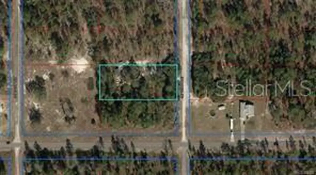 SE 133rd Avenue Dunnellon FL 34431