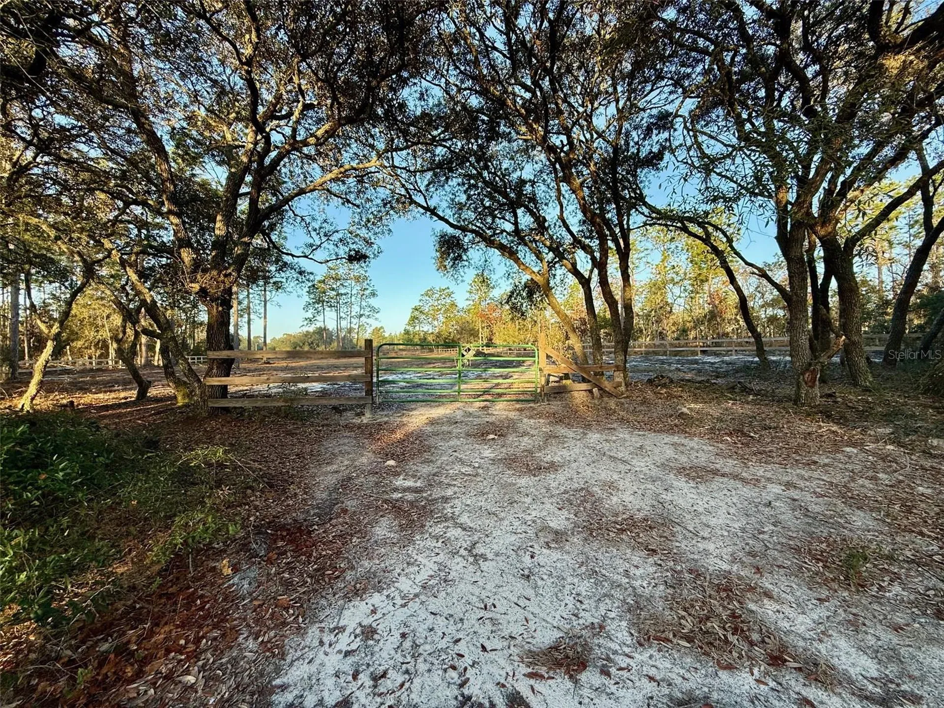 SE 133rd Avenue Dunnellon FL 34431
