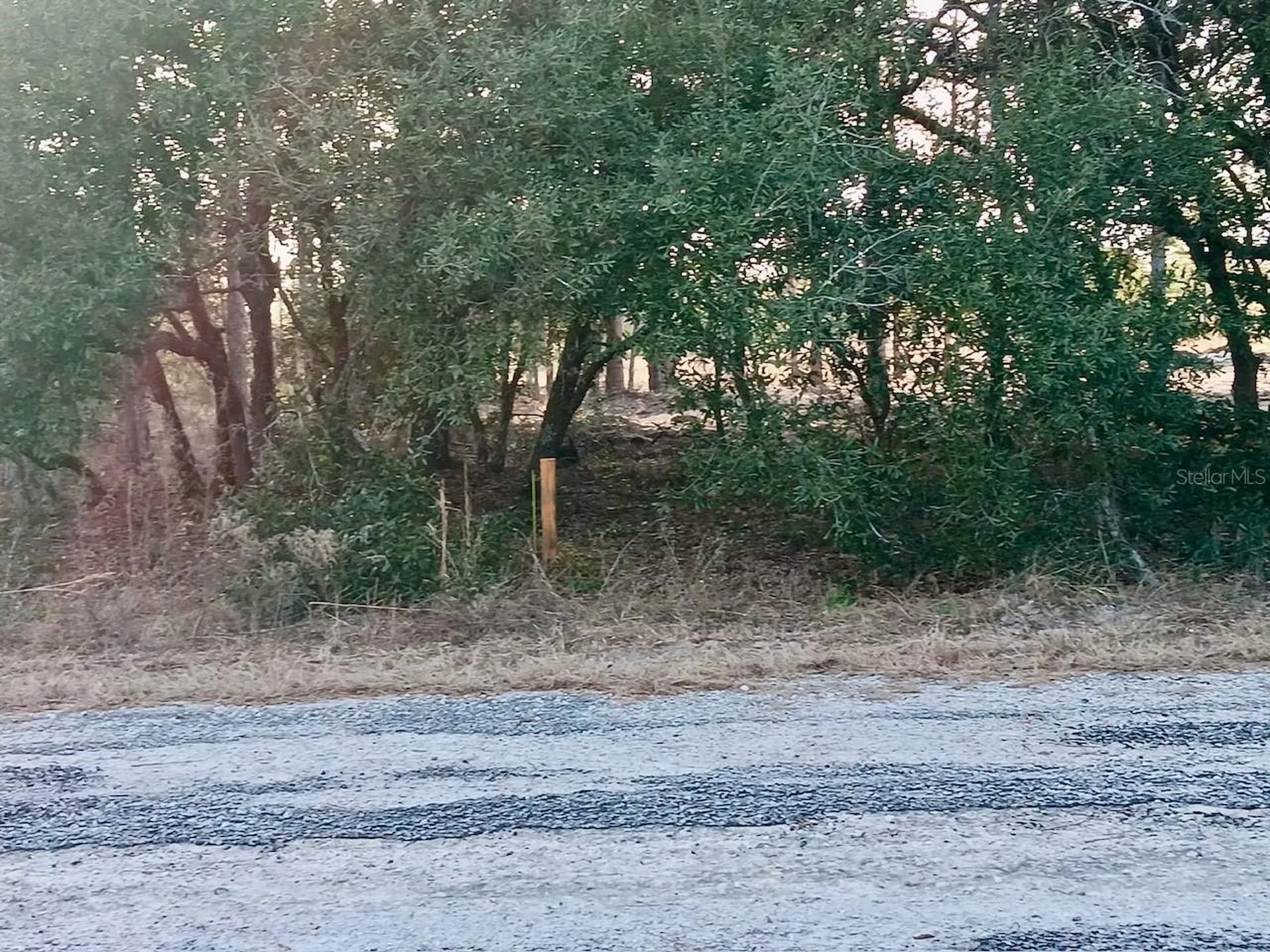 SE 133rd Avenue Dunnellon FL 34431