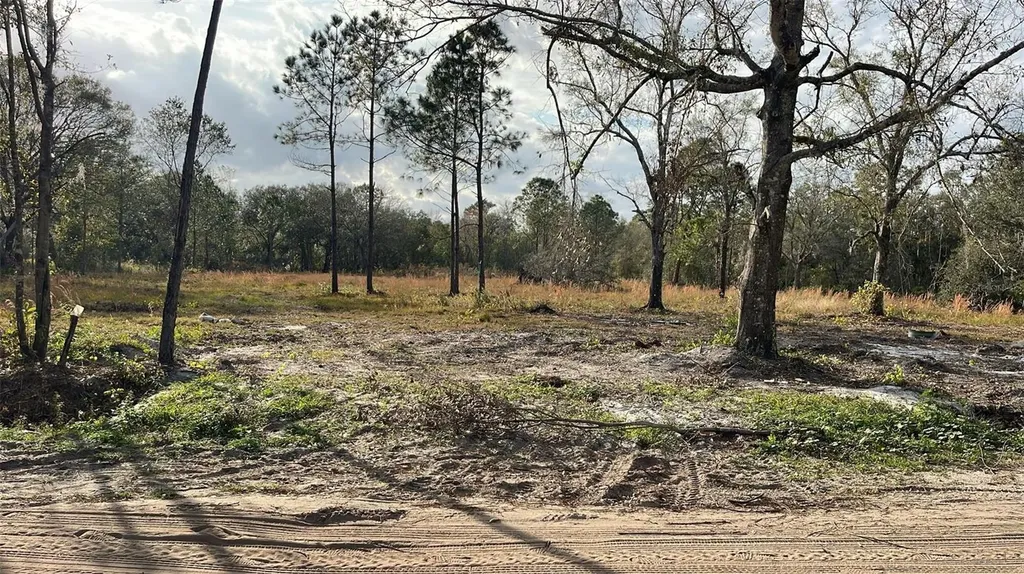 Kelly Ridge Road Frostproof FL 33843