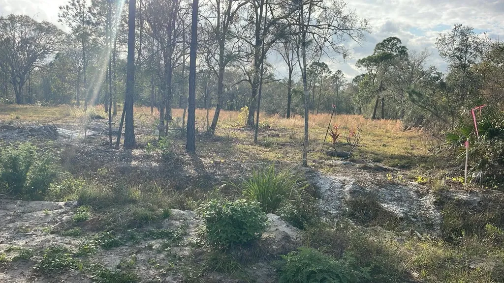Kelly Ridge Road Frostproof FL 33843
