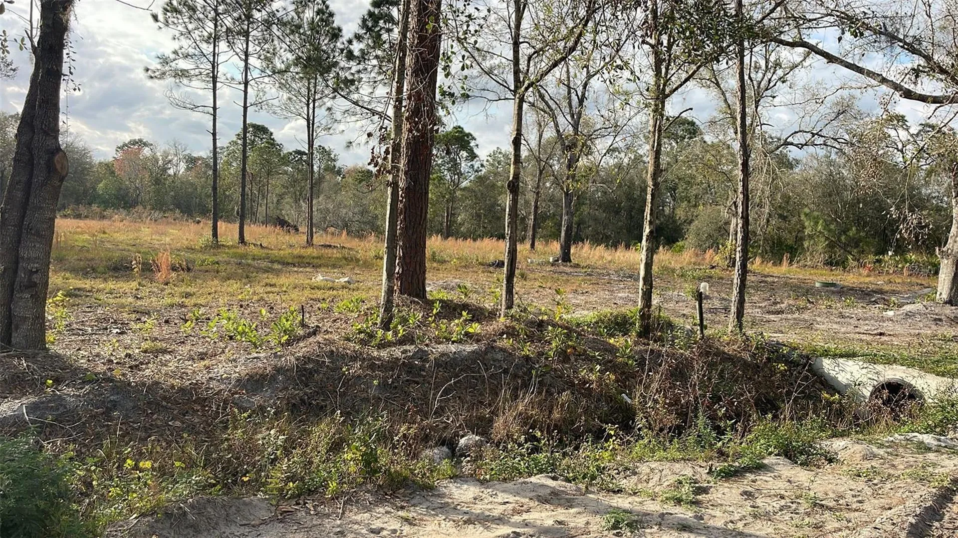 Kelly Ridge Road Frostproof FL 33843