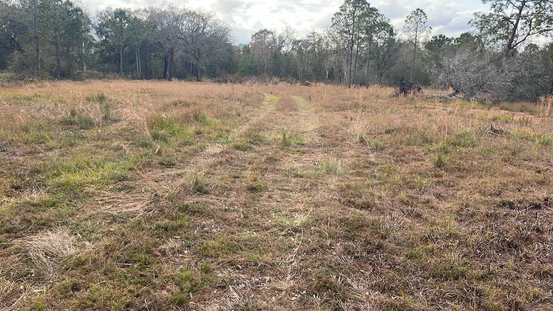 Kelly Ridge Road Frostproof FL 33843