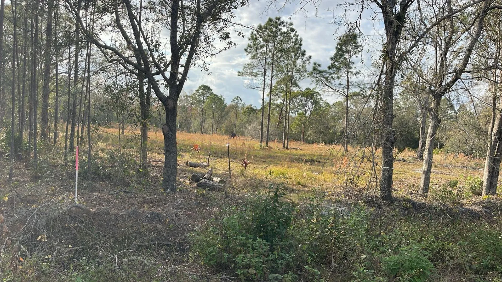 Kelly Ridge Road Frostproof FL 33843