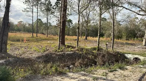 Kelly Ridge Road Frostproof FL 33843