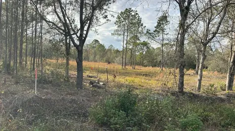 Kelly Ridge Road Frostproof FL 33843