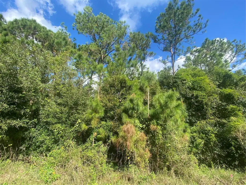 1561 Vienna Square Drive Winter Haven FL 33884