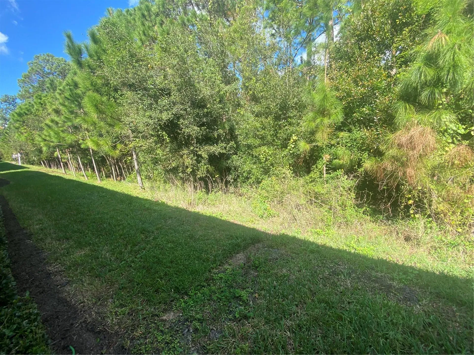 1561 Vienna Square Drive Winter Haven FL 33884