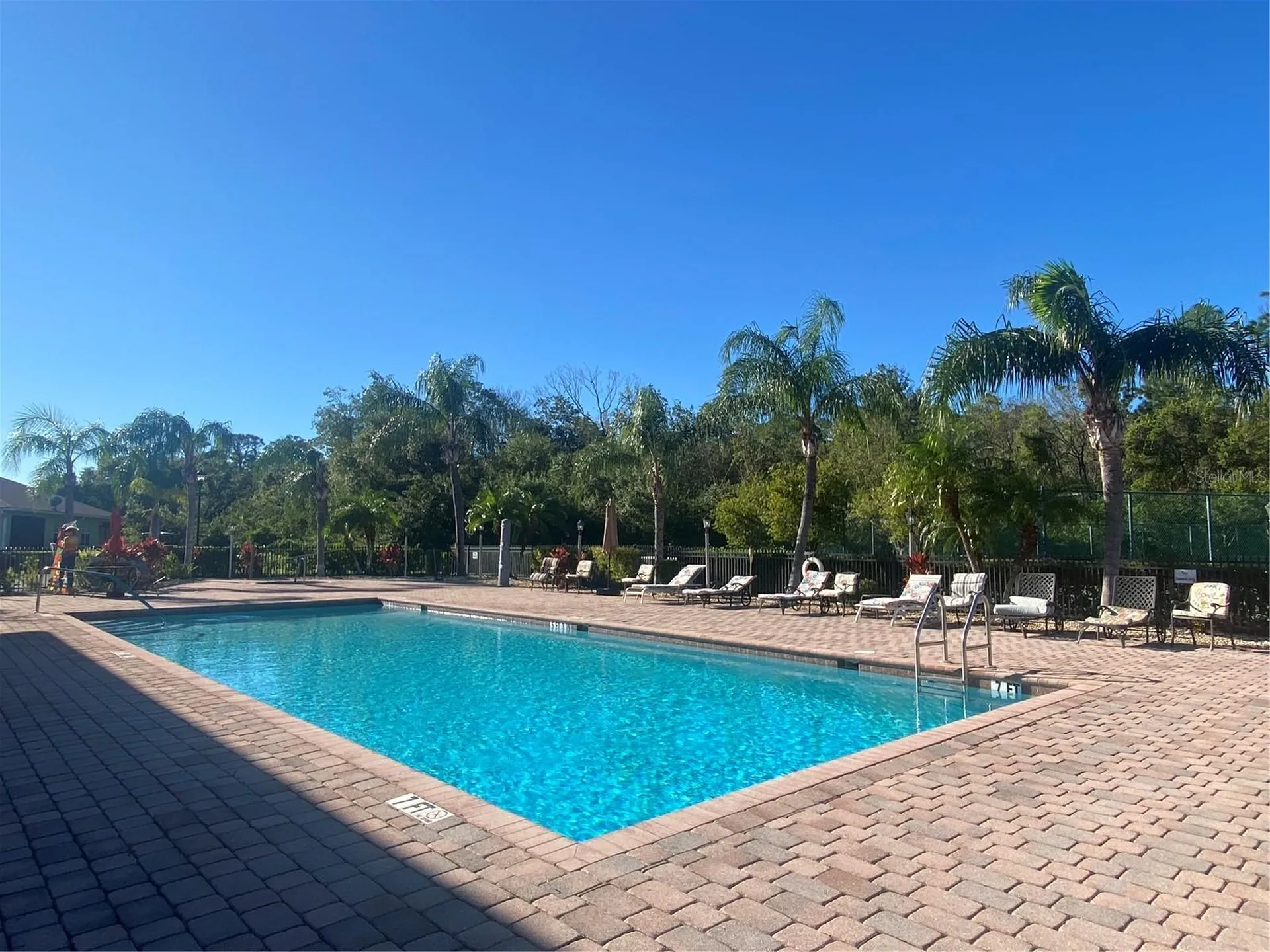 1561 Vienna Square Drive Winter Haven FL 33884