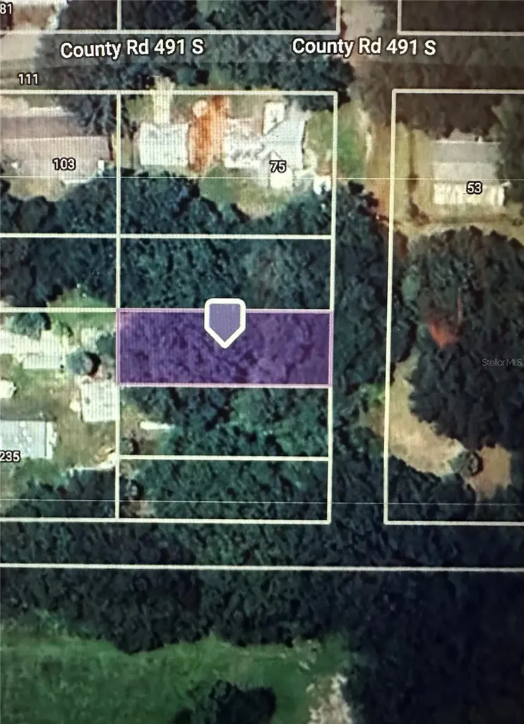 Lot #4 Lake Panasoffkee FL 33538