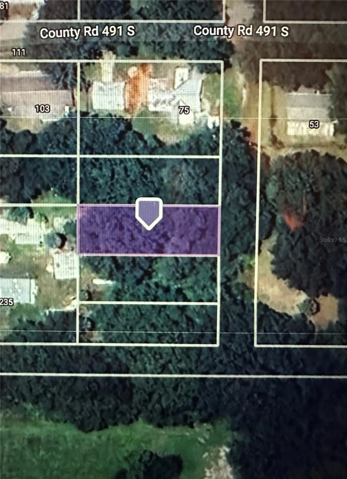Lot #4 Lake Panasoffkee FL 33538