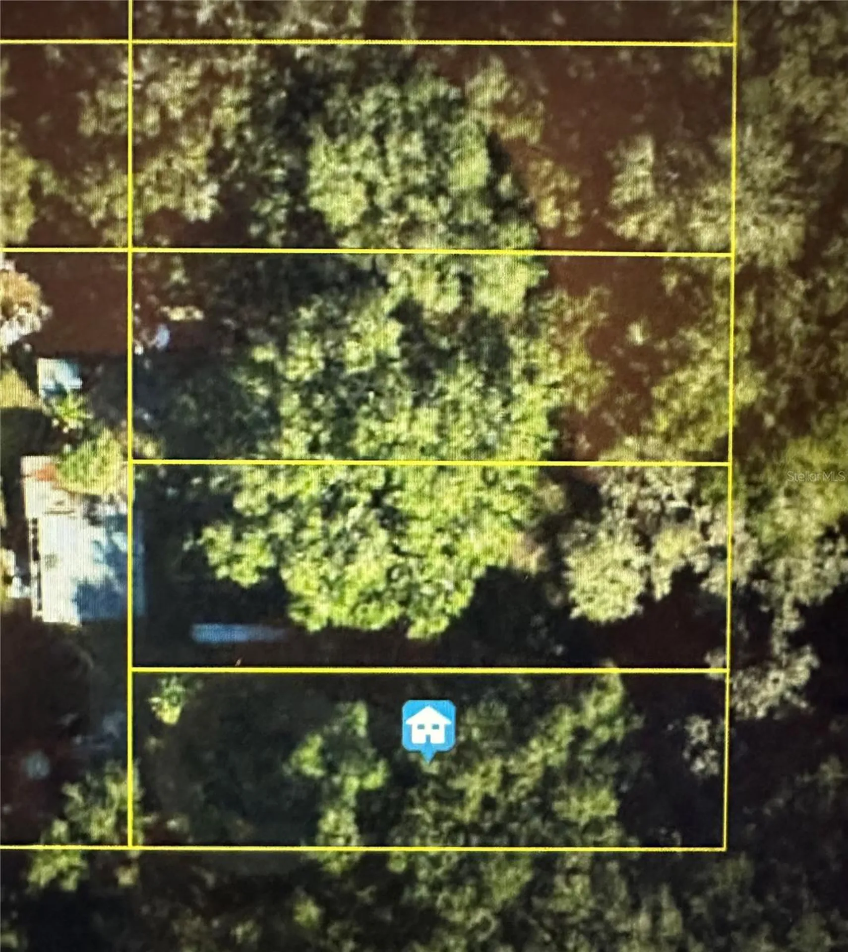 Lot #6 Lake Panasoffkee FL 33538