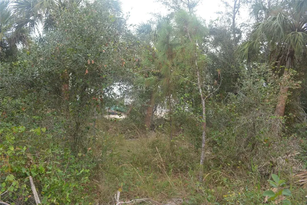 Maddock Circle North Port FL 34286