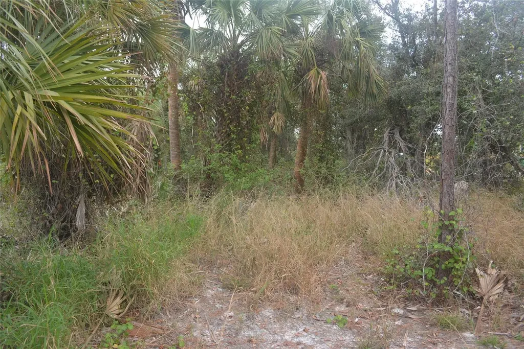 Maddock Circle North Port FL 34286