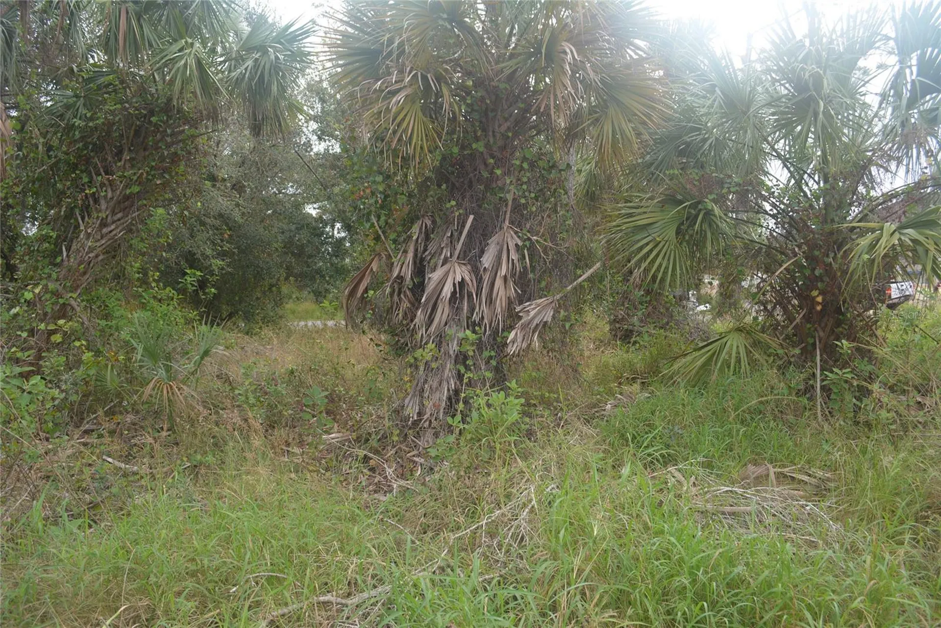 Maddock Circle North Port FL 34286