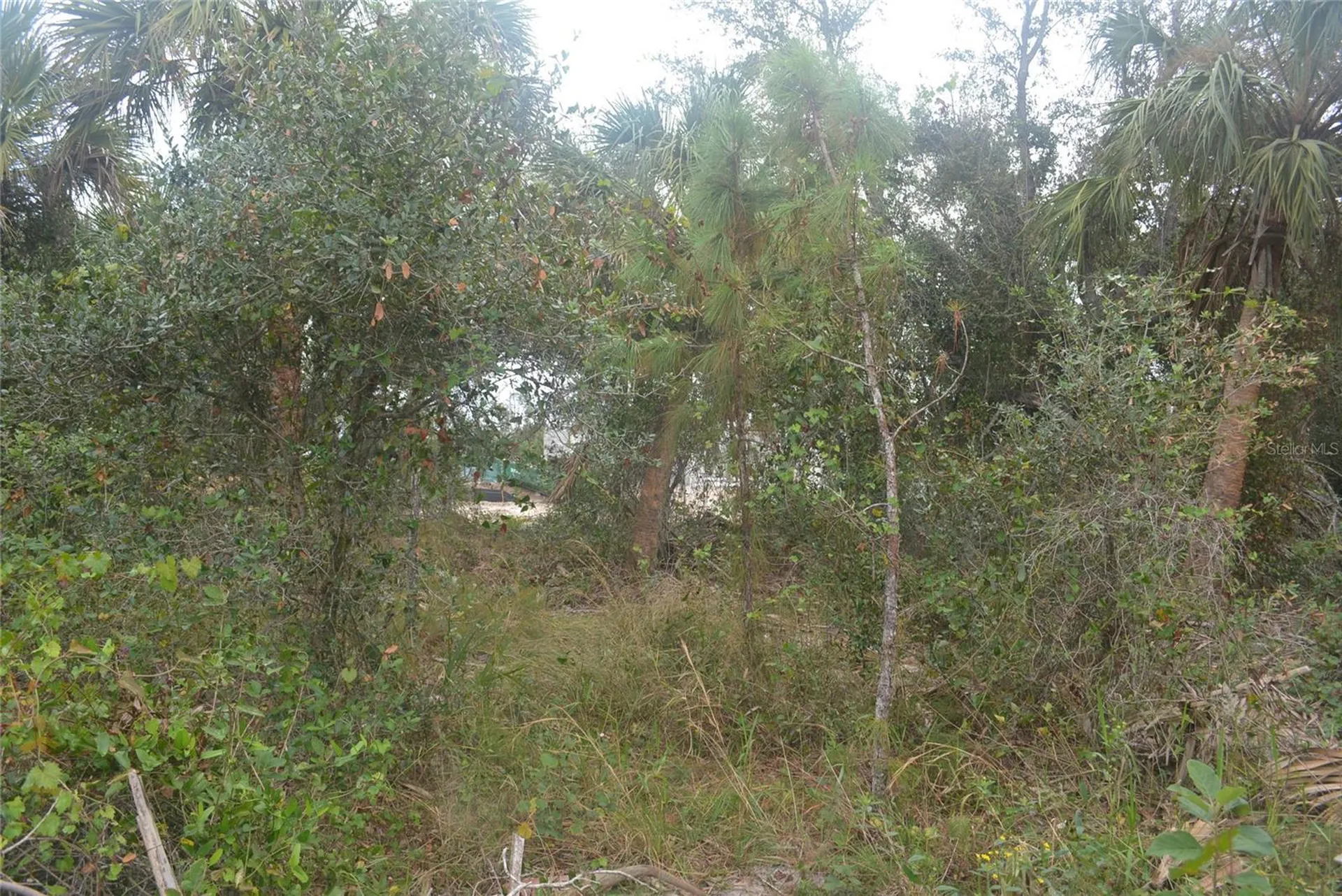 Maddock Circle North Port FL 34286