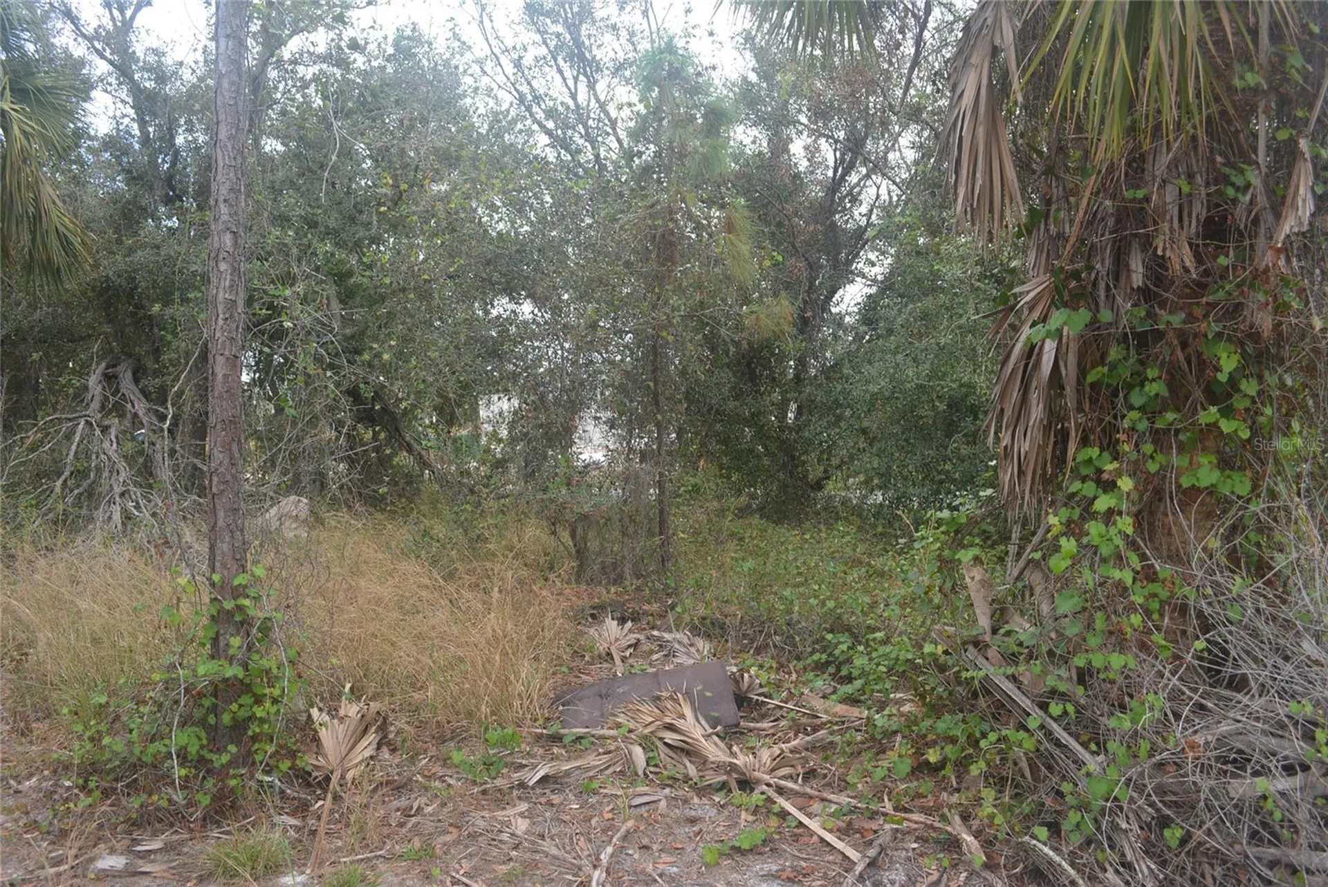 Maddock Circle North Port FL 34286
