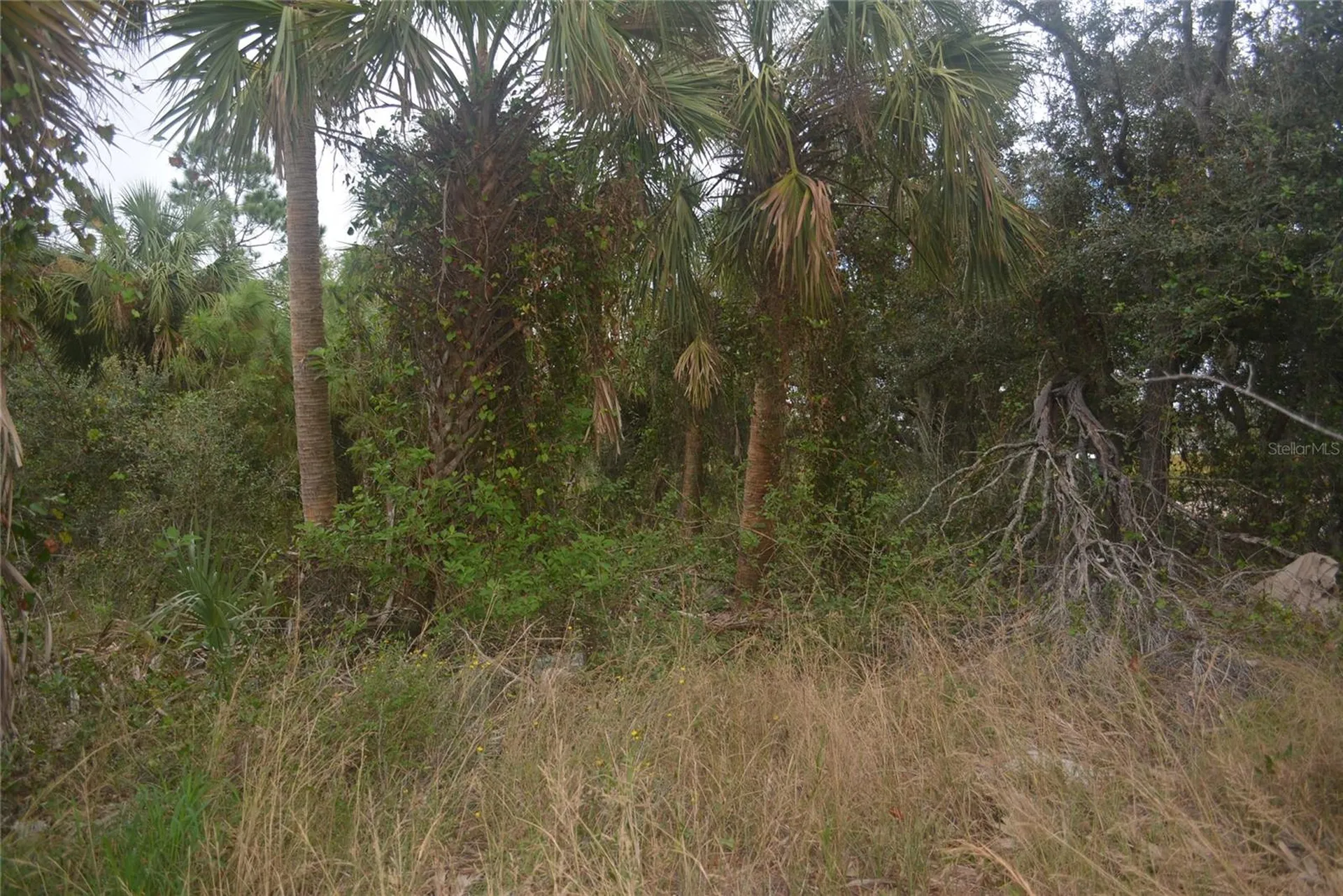 Maddock Circle North Port FL 34286