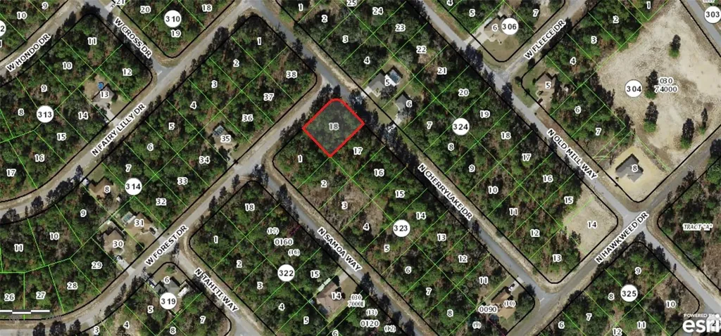 9432 N Cherry Lake Drive Citrus Springs FL 34433