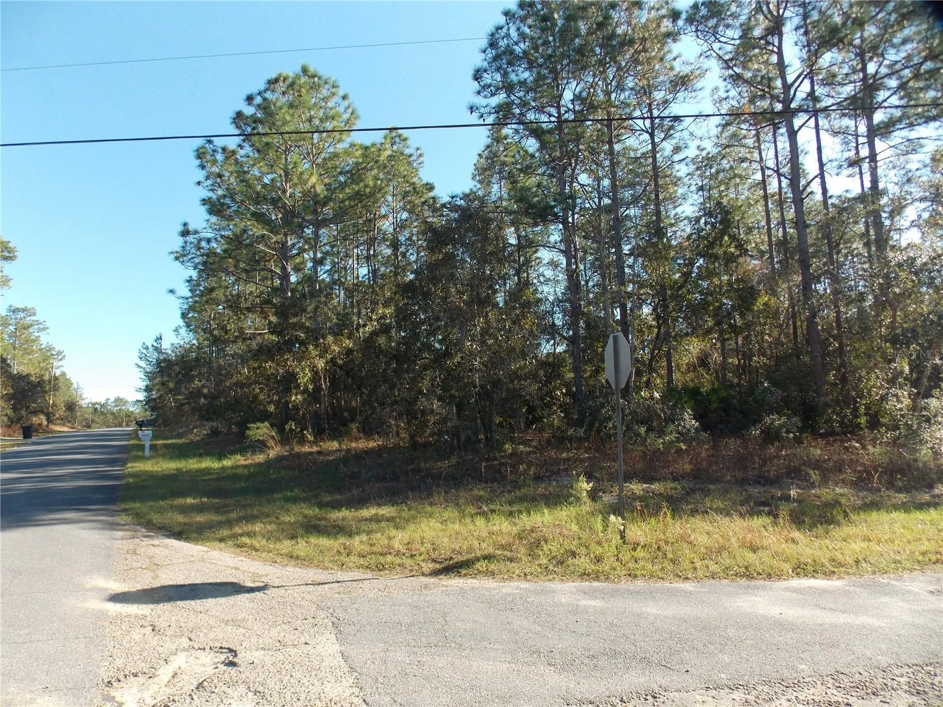 9432 N Cherry Lake Drive Citrus Springs FL 34433