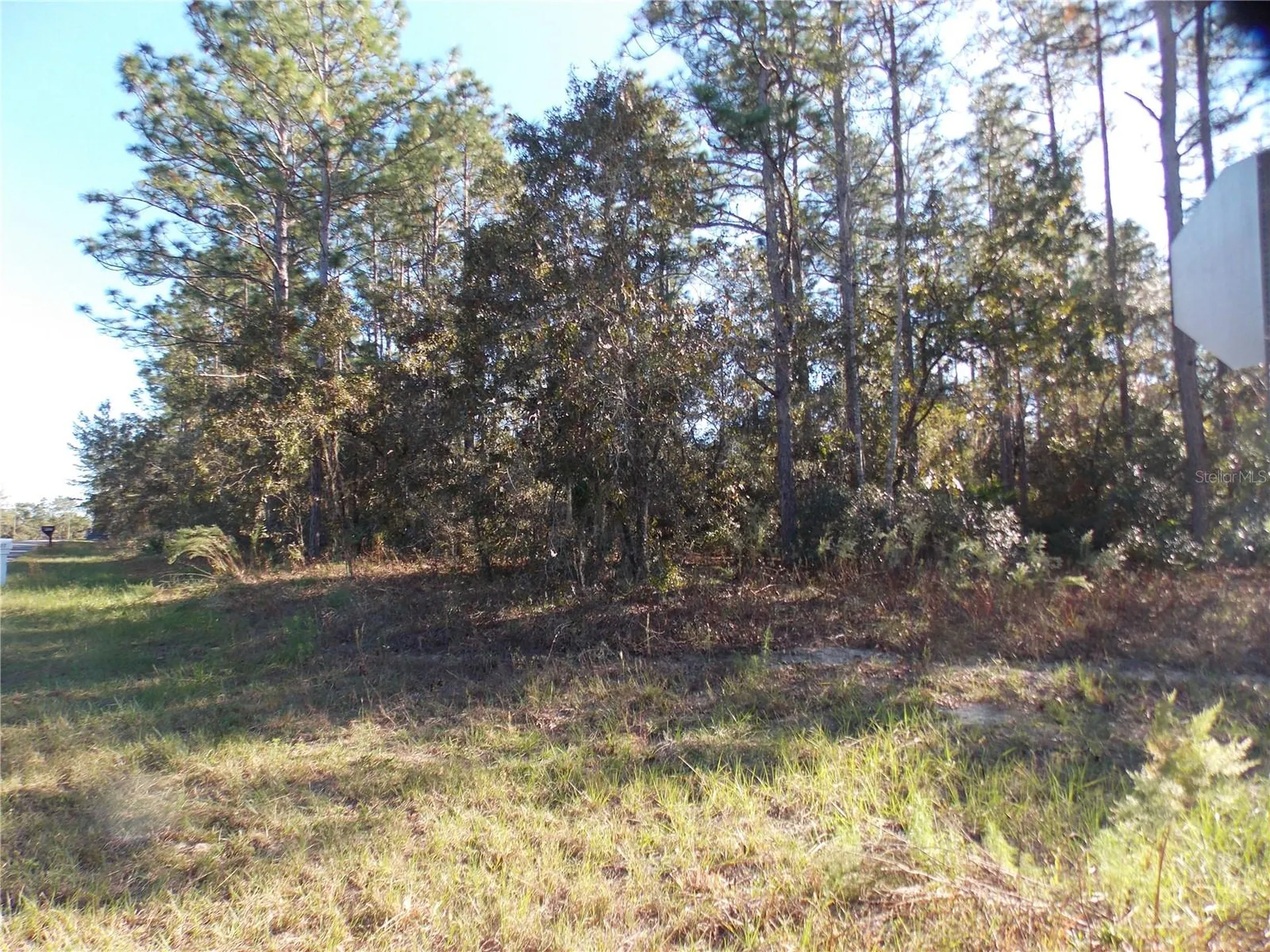 9432 N Cherry Lake Drive Citrus Springs FL 34433